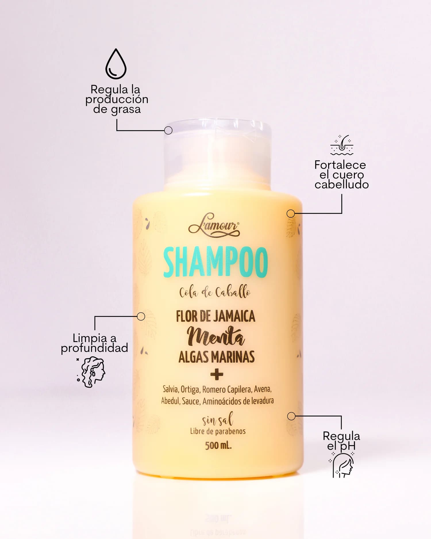 Shampoo Cola De Caballo 3
